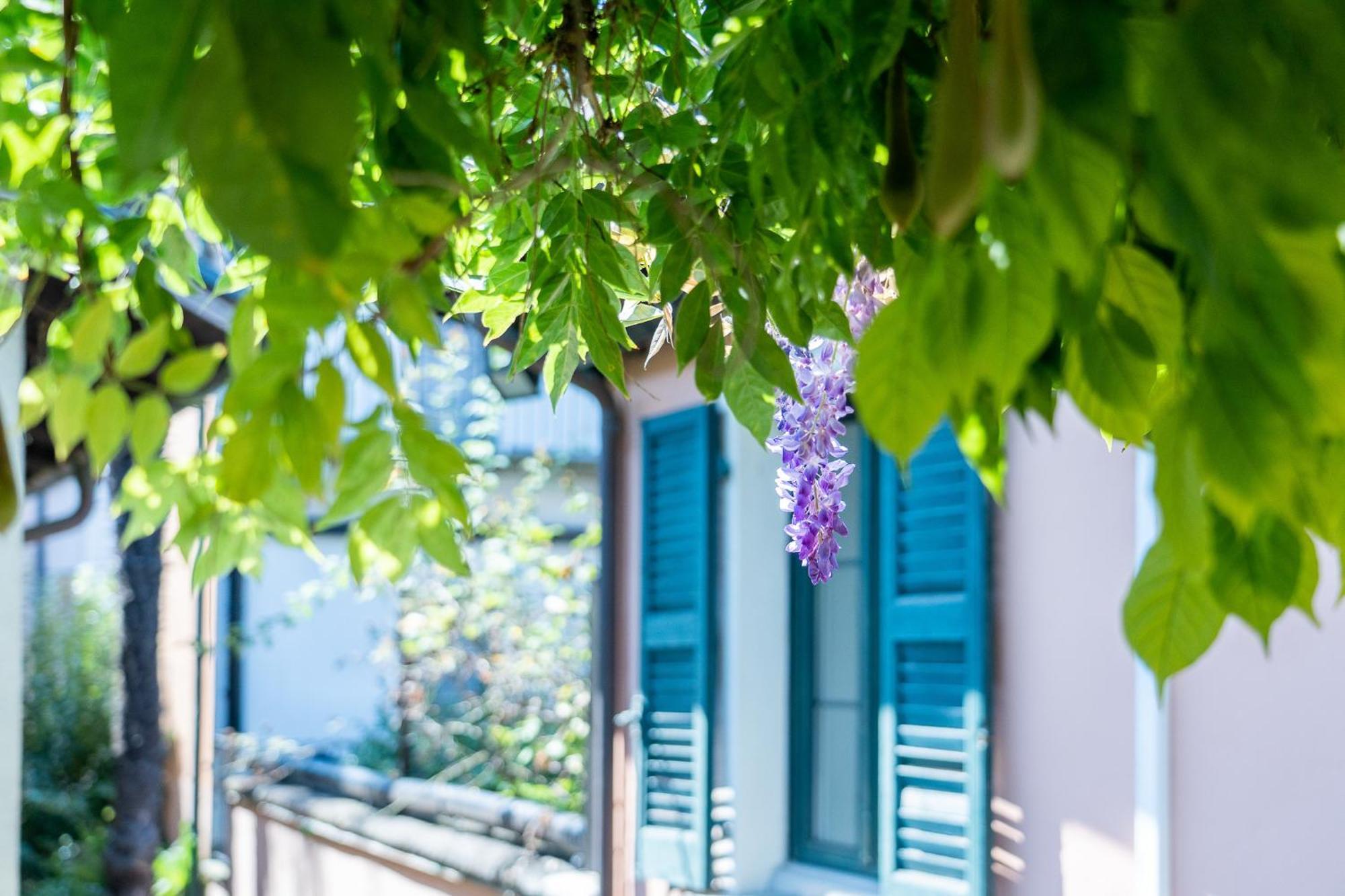 אסקונה Seven Boutique Hotel מראה חיצוני תמונה
